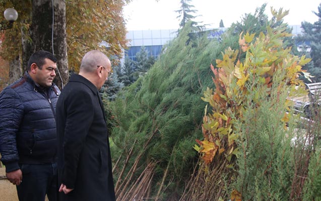 bu-yaz-ozun-bir-tebiet-yarat